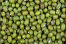 Phaseolus radiatus beans or mungbeans. (Source: https://en.wikipedia.org/wiki/Mung_bean)